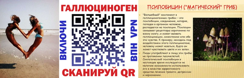 KRAKEN рабочий сайт  Карачаевск  Галлюциногенные грибы Magic Shrooms 
